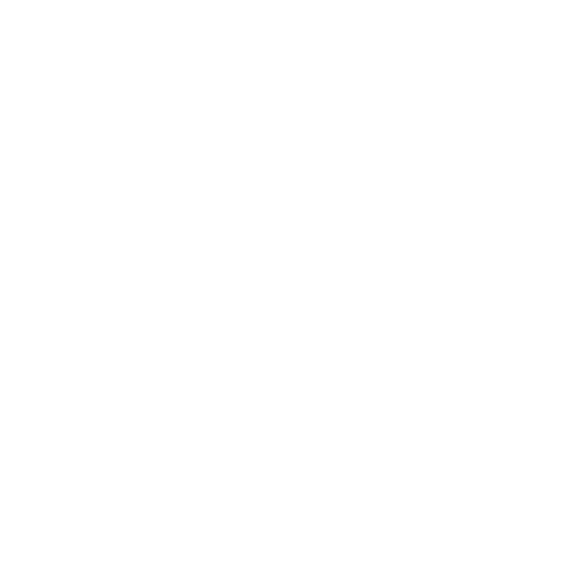 Demo Pro Footer Logo